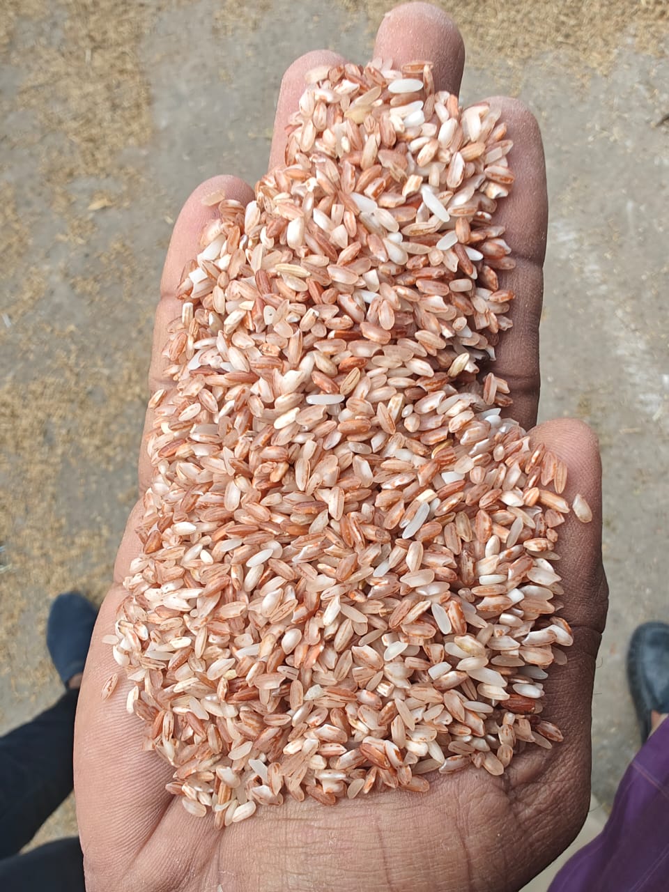 WhatsApp Image 2025-07-10 at 10.33.55 AM (2).jpeg